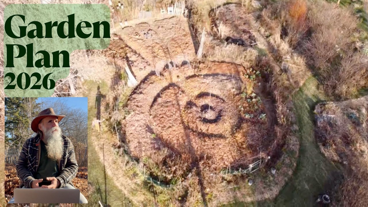 Полный план сада 2026: планировка, севооборот и пошаговое руководство по посадке растений-компань...