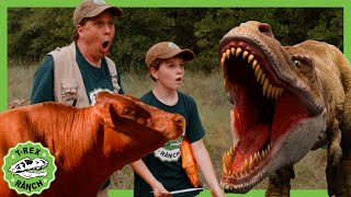 Hide and Seek with Cows - Find Letter D | T-Rex Ranch Dinosaur Videos by T-Rex Ranch - Dinosaurs For Kids 15,076 views 1 day ago 12 minutes, 5 seconds