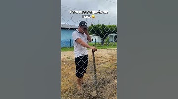 Cuando estás trabajando y te hacen estas preguntas #memes #shorts