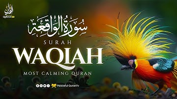 Best Relaxing Quran | Surah Waqiah سورة الواقعة | Amazing Voice | Peaceful Quran TV