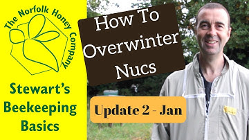 Beekeeping Basics - Overwintering Nucs - Update 2 Oxalic Acid Treatment - The Norfolk Honey Co.