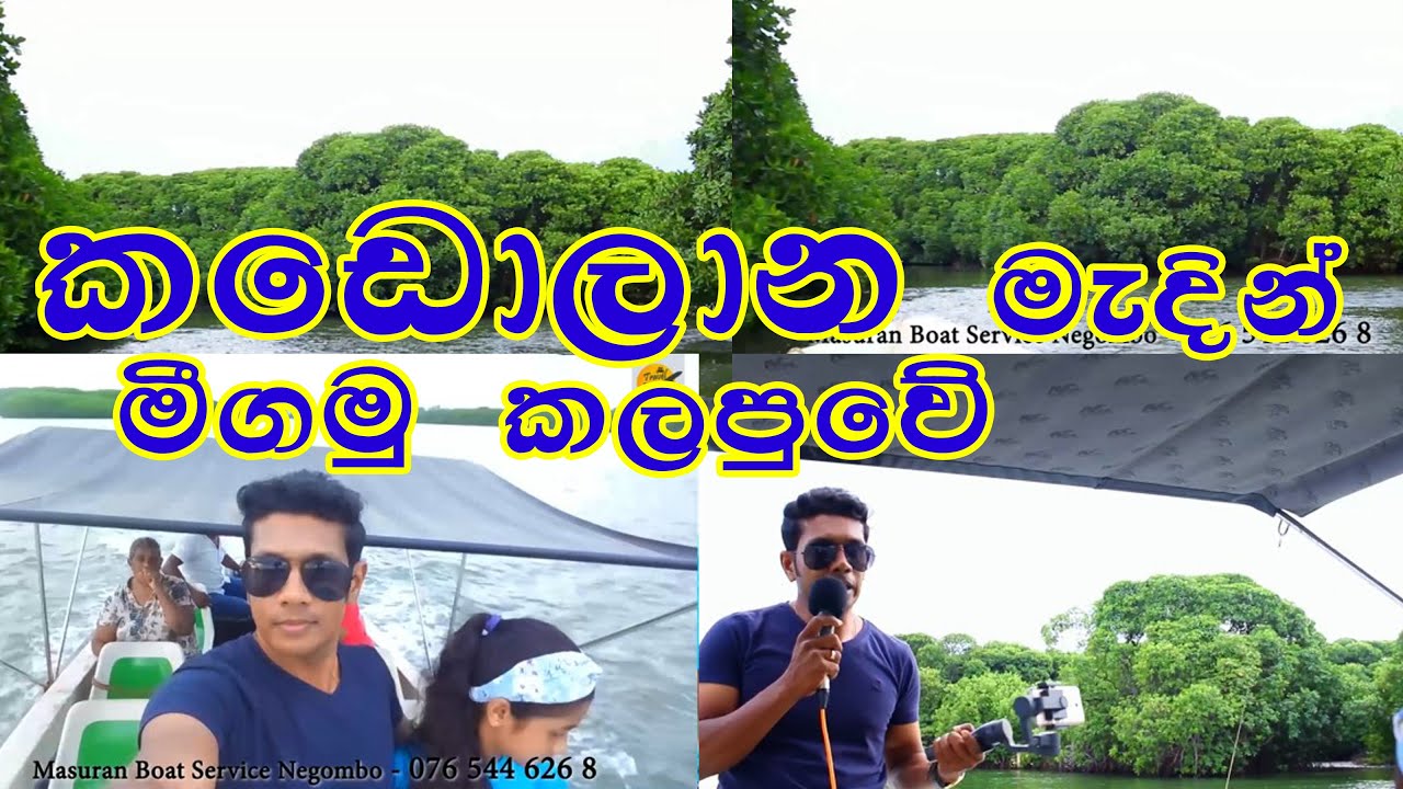 කඩොලාන මැදින් මීගමු කලපුවේ | In Negombo Lagoon | Boat Ride