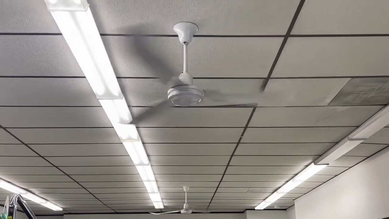 Airmaster/Autumnaire Industrial Ceiling Fans 56” At A Dry Cleaners/Laundromat