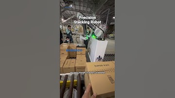 Revolutionize Your Factory with Our Palletizing Robot