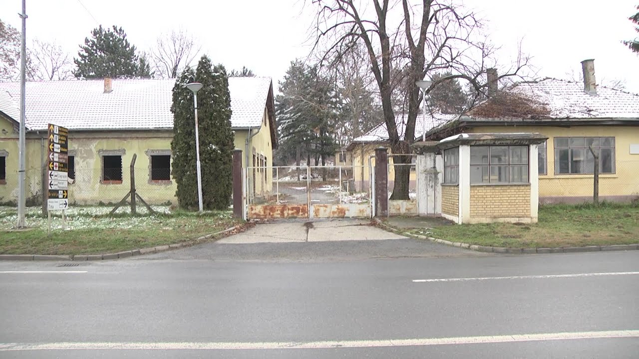 Povratak vojske u Beli Manastir