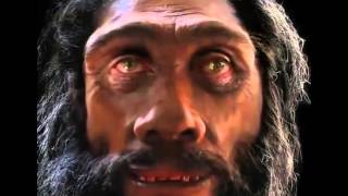 Mango News The Evolution Of Mans Face Over The Course Facebook