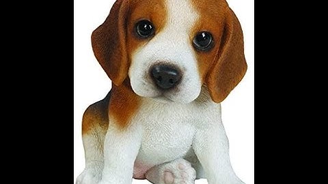 Adding images to a Phoenix application