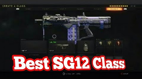 Best SG12 Class Setup (BO4)