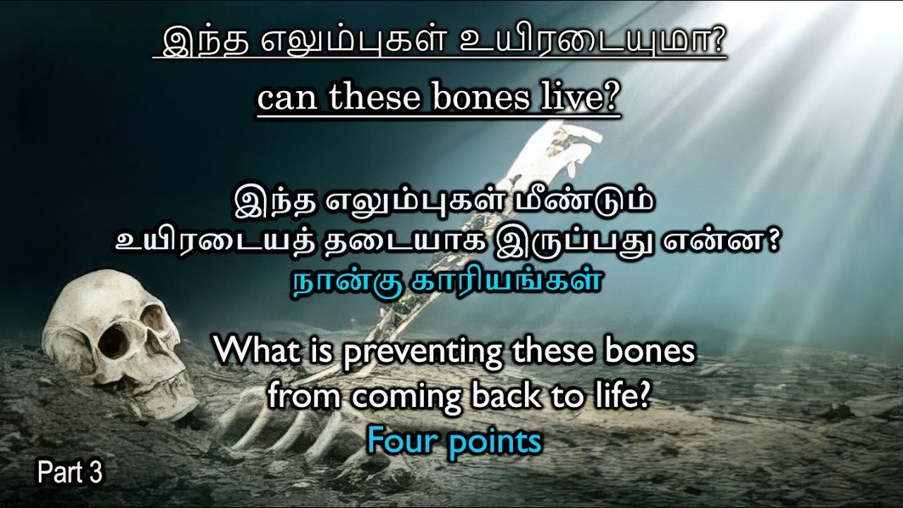 can these bones live? // இந்த எலும்புகள் உயிரடையுமா? Part 3