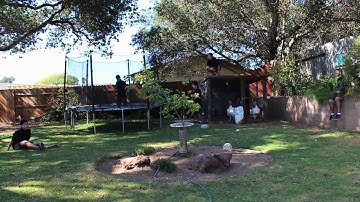 Clone Test-Adobe After Effects Cs3