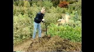 Geoff Hamilton&#39;s Gardeners World tips from the 80s Part 2