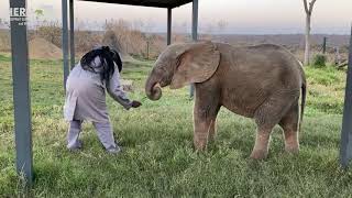 Precious Moments with Adine & Khensani ~ Celebrating Women in Elephant Conservation