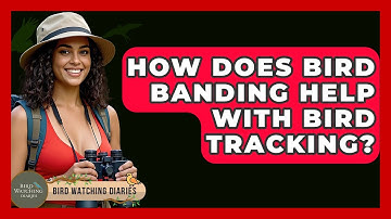 How Does Bird Banding Help With Bird Tracking? - Bird Watching Diaries