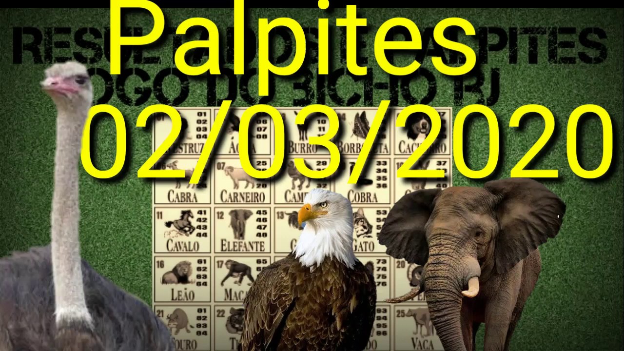 melhores sites de palpites