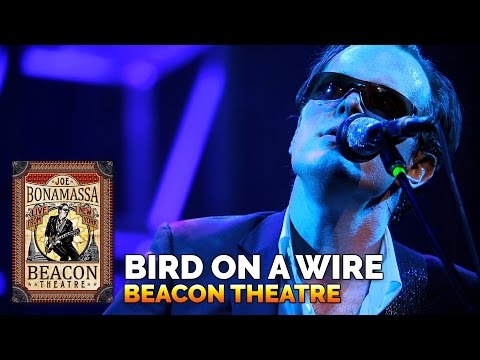 joe-bonamassa-official---"bird-on-a-wire"---beacon-theatre-live-from-new-york