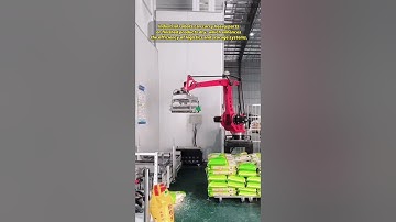 Borunte palletizing robot #borunte #factory #industrialrobot #machine #automobile #intelligence