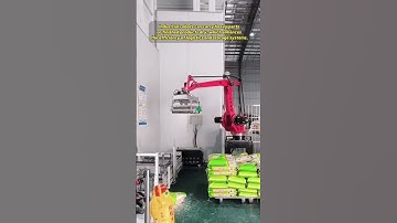 Borunte palletizing robot #borunte #factory #industrialrobot #machine #automobile #intelligence