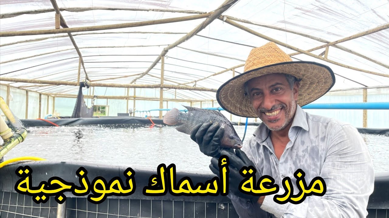 الإستزراع السمكي في الأحواض الدائرية البلاستيكية 🐟