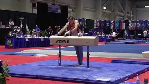 17 Year Old JE National Pommel Horse Champion. Optional and tech sequence