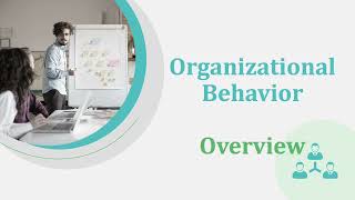 Organizational Behavior Overview | the 3 OB Levels Wealth