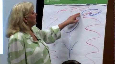 Matrix ECHOS, Trauma Capsules, Issue Strings and the Difference between EFT and MR