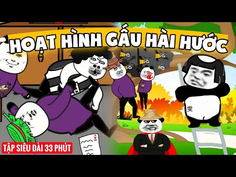GẤU HÀI HƯỚC