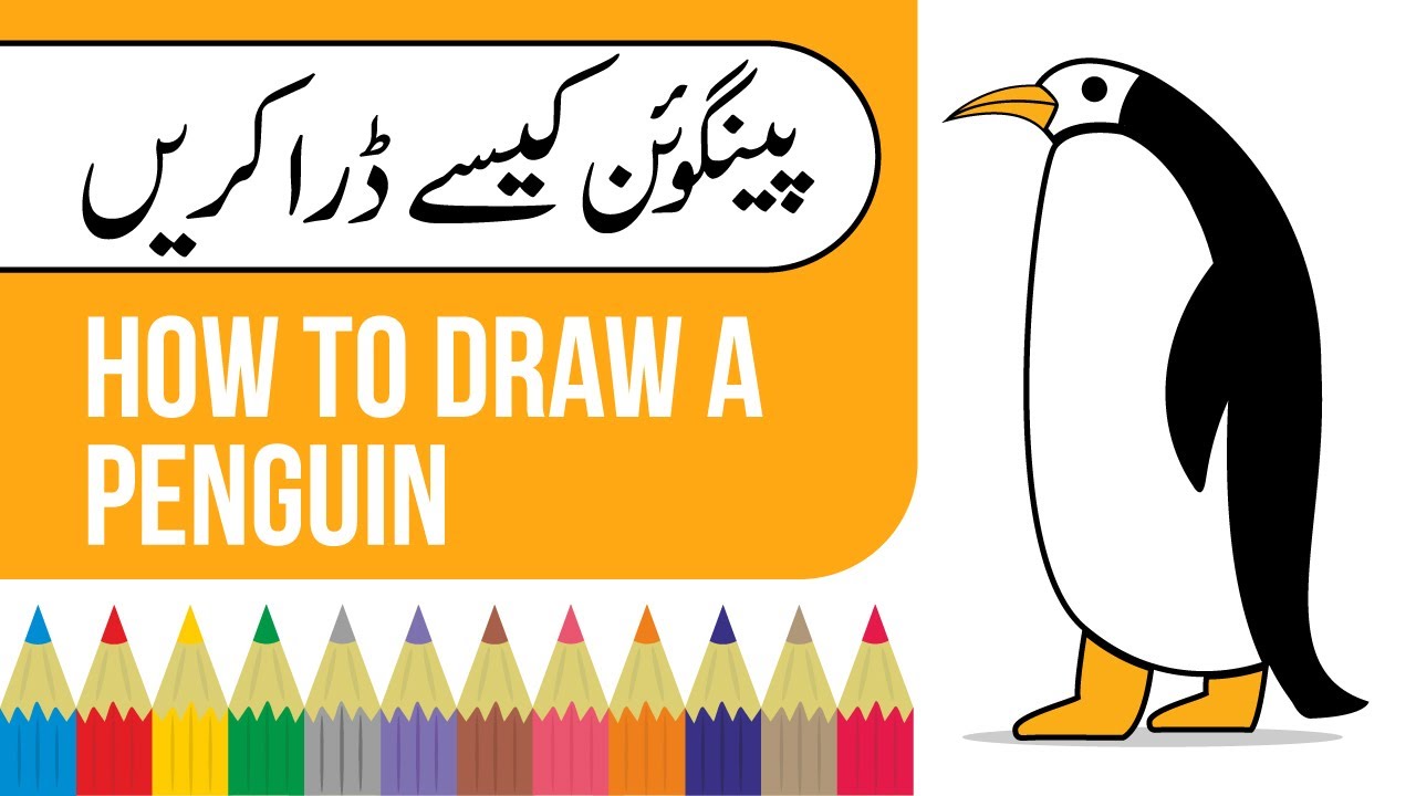 How to draw a Penguin | پینگوئن کی ڈرائنگ کیسے کریں  | Step by step Penguin drawing and coloring
