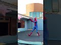 Homem Aranha Virando Mortal Cama Elástica Homem Aranha Virando Mortal Cama Elástica