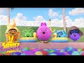 SUNNY BUNNIES Colorful Swimming Pool Season 7 Cartoons For Kids 