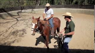 Encantadores De Vidas: Doma De Cavalos Selvagens Por Eduardo Moreira - Inédito No Brasil Encantadores De Vidas: Doma De Cavalos Selvagens Por Eduardo Moreira - Inédito No Brasil