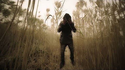 SIPTILWEDIE - SENSE (OFFICIAL VID)