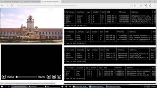 DBMS Project video