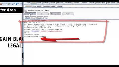 [2] Basic Web Application Hacking and Pentesting: Module 1 Part 1 http protocol analyzing
