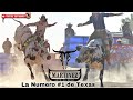 !!QUE TORAZOS TRAE LA NUMERO #1 DE TEXAS MARTINEZ RANCH!!EN CORNING CA.2021