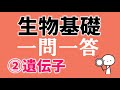 生物基礎一問一答「②遺伝子とそのはたらき」遺伝子・DNA、複製、タンパク質の合成、遺伝子の発現と生命現象
