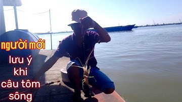 Câu tôm sông / Chia sẽ kinh nghiệm cho người mới / Xì long Fishing