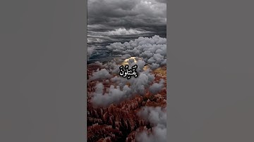 اكتب شئ تؤجر عليه #quran #ذكر_الله #التوكل_على_الله #صلوا_على_النبي #تلاوة #راحه_نفسيه #muslam