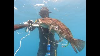 Zıpkınla Balık Avı - Silifke ( Spearfishing Turkey-Silifke)