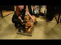 Watch rescued dogs settle into our care and rehab center!