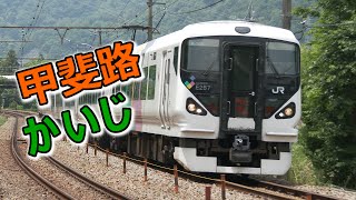 特急かいじ号 JR東日本 特急形電車 E257系 Part.2