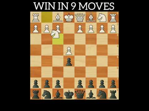 WIN IN 9