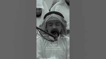 سورة الحجر للقارئ عثمان الحداد ما شاء الله 🎧🤍🤍#quotes #اكسبلور #quran #راحة_نفسية