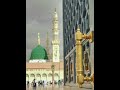 إلى رحاب اليثرب شوقي جنينة 