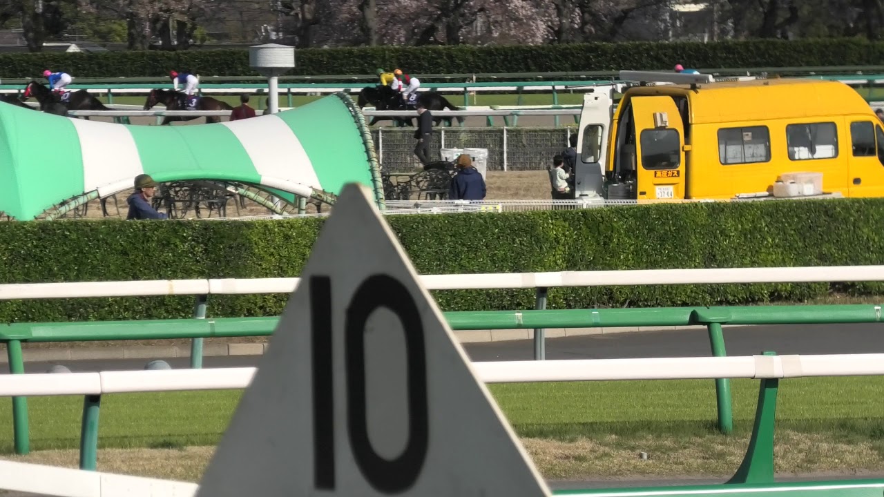 2019.4.13 中山11R 中山グランドジャンプ（J・G1） - YouTube