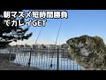 朝マズメ短時間勝負でカレイGET