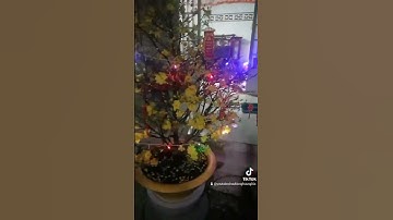 Chúc mừng năm mới năm 2023 , an khang thịnh vượng, vạn sự như ý phát tài phát lộc