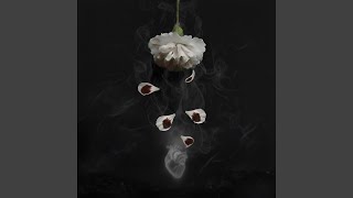 Famous Better Without It Net Worth