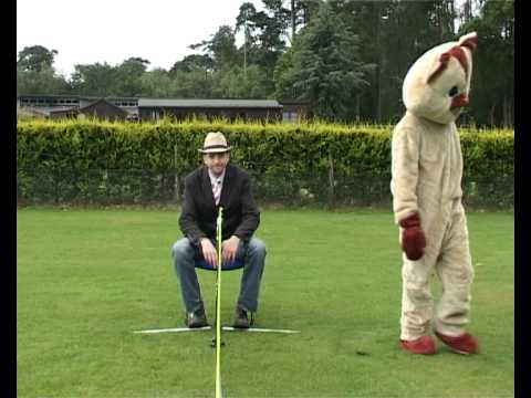 ballston lake ny Cats Protection's tennis cats!