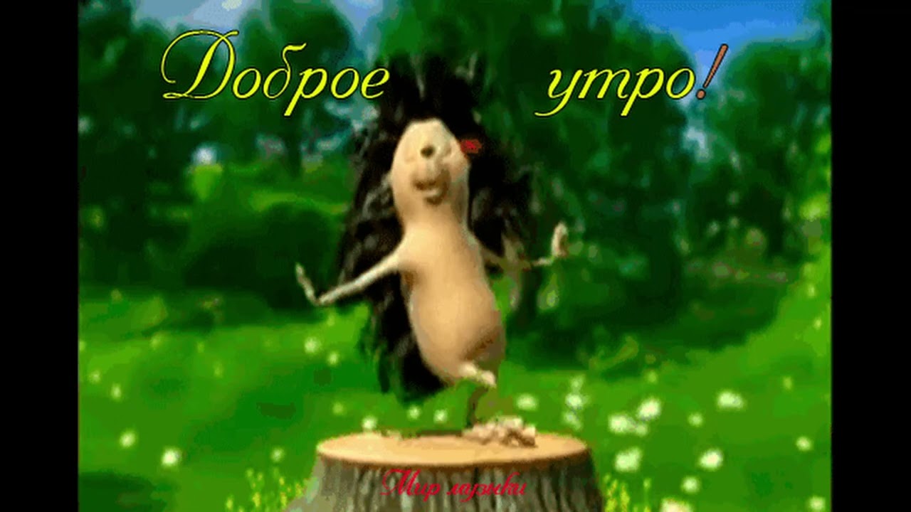 Смешной ёжик танцует под 'BALLOUT' хайп