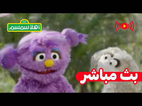 مباشر 🔴 : شاهدوا، العبوا، وتعلّموا